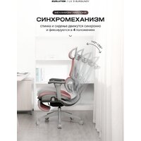 Evolution LX 3 Burgundy (розовый) Image #2