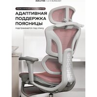 Evolution LX 3 Burgundy (розовый) Image #3