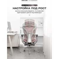 Evolution LX 3 Burgundy (розовый) Image #6