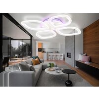 Ambrella light FA FA4501 Image #3