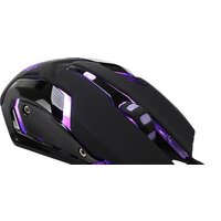 QUMO Mystic Image #12