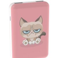 Ritmix RPB-10007 (сердитый кот)