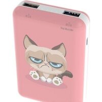 Ritmix RPB-10007 (сердитый кот) Image #2