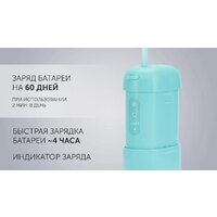 Polaris PWF 1002 T (бирюзовый) Image #13