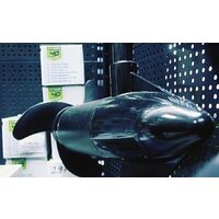 Greenworks G40TM55 (без АКБ и ЗУ) Image #15