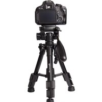 Raylab MT-Pro 32 (с головой) Image #2