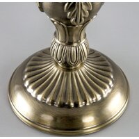 Citilux Адриана CL405823 Image #16