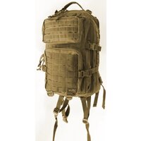 TRAMP Squad 35 (песочный)