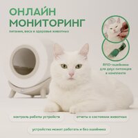 Tesler PST-001 Image #12