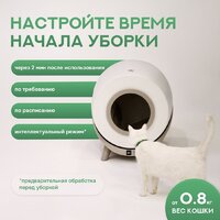 Tesler PST-001 Image #9