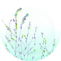 Luminarc Simply Trompette Turquoise V2715 (44 пр) Image #7