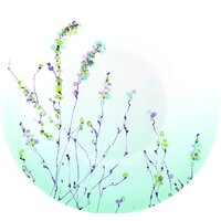 Luminarc Simply Trompette Turquoise V2715 (44 пр) Image #3