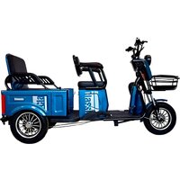 Terax Longi NS006 Image #1