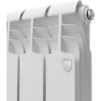 Royal Thermo Vittoria Super 300 - 12 секций Image #2