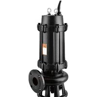 IBO MWQ 100/5500