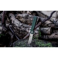 Firebird FH11-GB (зеленый) Image #14