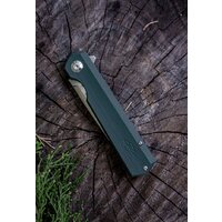 Firebird FH11-GB (зеленый) Image #8