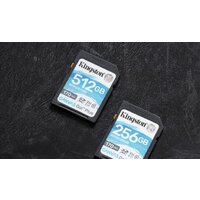 Kingston Canvas Go! Plus SDXC 256GB Image #4