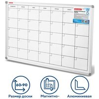 BRAUBERG Extra 237564