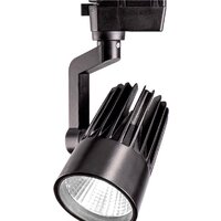 JAZZway PTR 0130-2 30w 4000K 24° BL IP40 Image #1