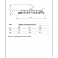 IEK LT-DSP0-4022-200-40-K02 Image #2