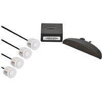 Digma DCK-100S (серебристый)