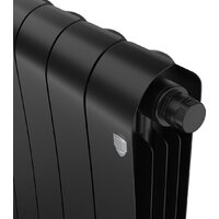 Royal Thermo Infinity 500 Noir Sable VR80 - 4 секций Image #2