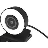 Ritmix RVC-250
