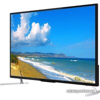 Polar P50L21T2C Image #2