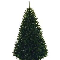 Maxy Poland Алтай 2.5 м