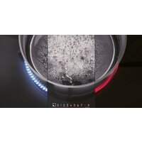 Electrolux Serie 300 Domino LIT30231C Image #4