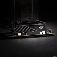 ADATA XPG Lancer Blade 2x16ГБ DDR5 6000 МГц AX5U6000C3416G-DTLABBK Image #4