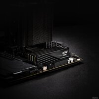 ADATA XPG Lancer Blade 2x16ГБ DDR5 6000 МГц AX5U6000C3416G-DTLABBK Image #6