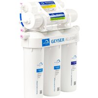 Гейзер Аллегро Image #2