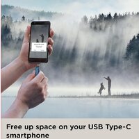 SanDisk Ultra Dual Drive Go Type-C 256GB SDDDC3-256G-G46NB Image #4