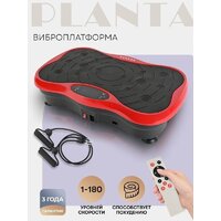 Planta VP-03 Image #2