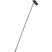 Lucide Hester 19700/01/30