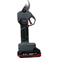 Profipower MKGSP-20V (с 2-мя АКБ, кейс) Image #8