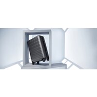 Ninetygo Rhine PRO Luggage 20" (черный) Image #3