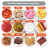 Pullman PL-1103 Image #4