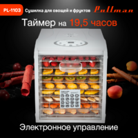 Pullman PL-1103 Image #8