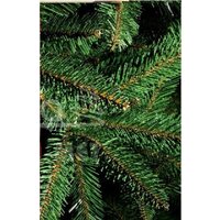 Maxy Poland Рената 2.2 м Image #2