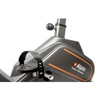 Alpin Gross B-190 Image #11