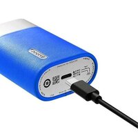 Soocas SP1 (синий) Image #2