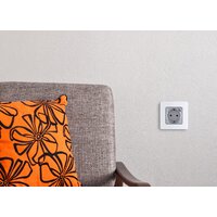 Legrand Inspiria 673772 Image #4