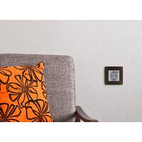 Legrand Inspiria 673772 Image #6
