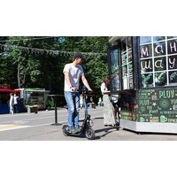 Eltreco Iconic GL 48V 500W Image #3