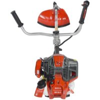 Evoline BCG 36 4T Image #10