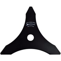 Evoline BCG 36 4T Image #4