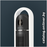 Electrolux EFT-1110i Image #2